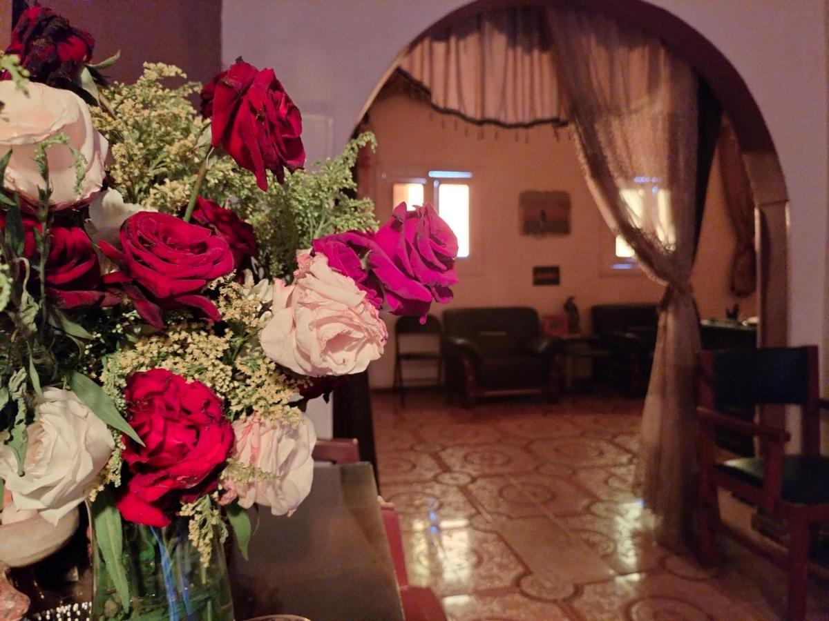 Safari Abu Simbel Hotel Kültér fotó